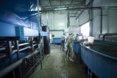 100_©_www_zweischrittweiter_at