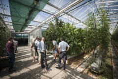 102_©_www_zweischrittweiter_at