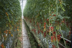 103_©_www_zweischrittweiter_at