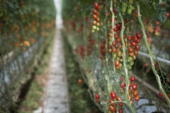 104_©_www_zweischrittweiter_at