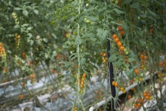 105_©_www_zweischrittweiter_at