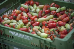 111_©_www_zweischrittweiter_at