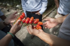 112_©_www_zweischrittweiter_at