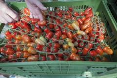 113_©_www_zweischrittweiter_at