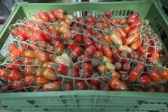 114_©_www_zweischrittweiter_at