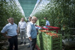 116_©_www_zweischrittweiter_at