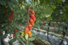 121_©_www_zweischrittweiter_at