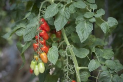 122_©_www_zweischrittweiter_at