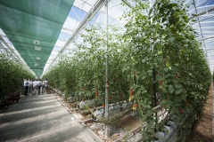 127_©_www_zweischrittweiter_at