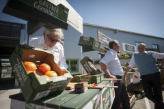 130_©_www_zweischrittweiter_at